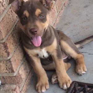 Meet your Posher, Byron